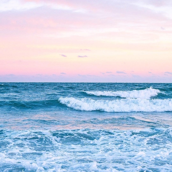 ✨🛍️ Welcome To My Closet ✨ - Picture 1 of 1